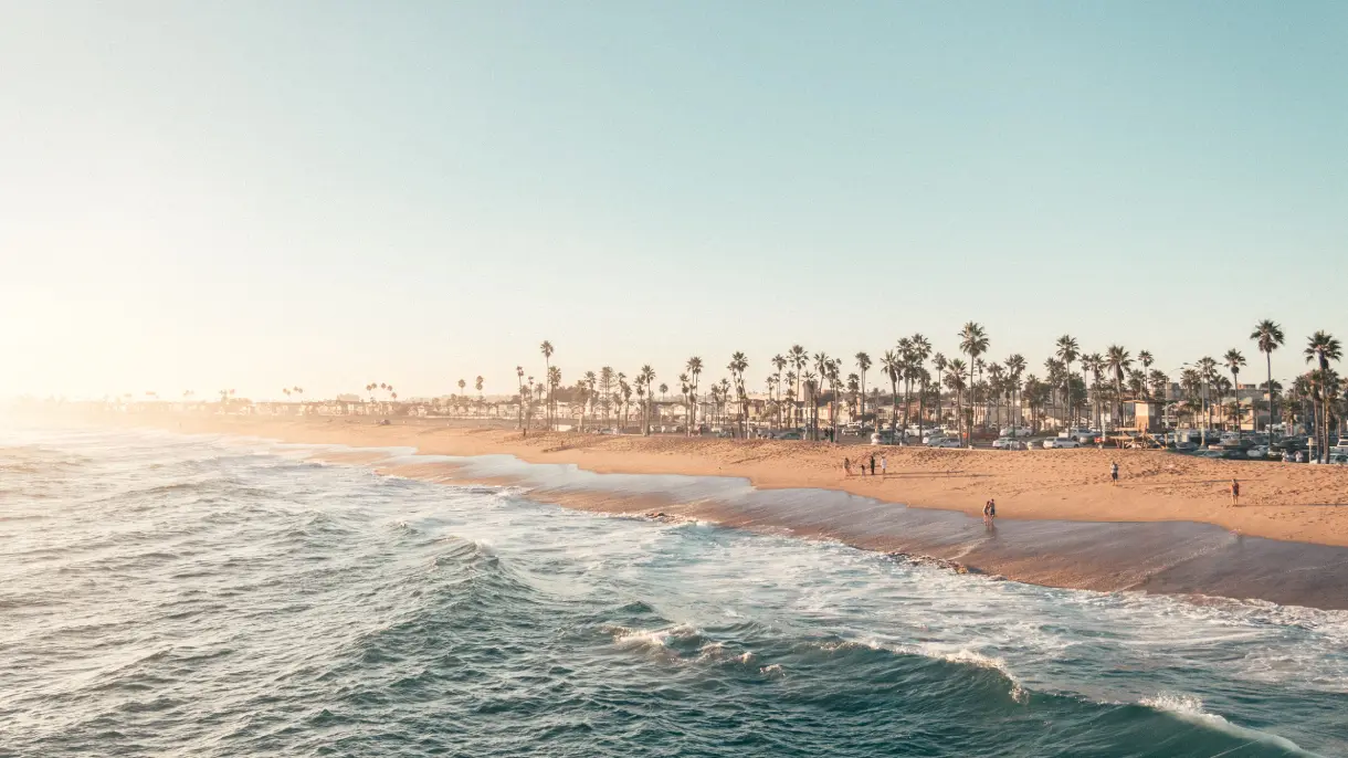 Aerial view of a palm tree-lined Southern California beach at golden hour, with gentle waves rolling onto the shoreline and a few beachgoers visible in the distance.