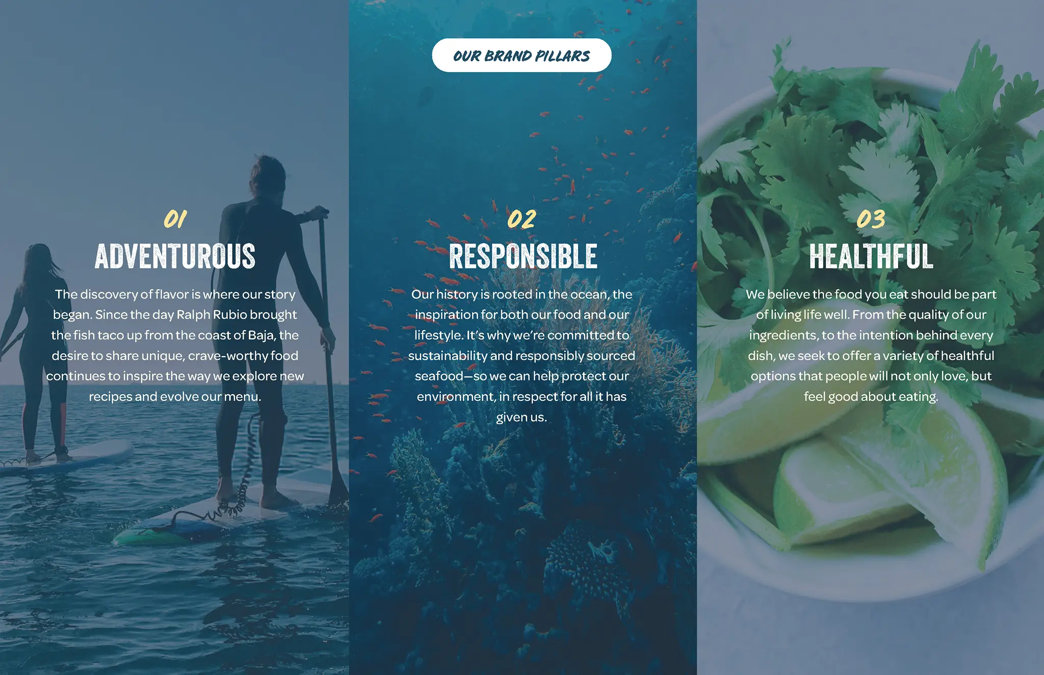 Rubio's brand pillars graphic: Adventurous paddleboarders, Responsible underwater reef, and Healthful cilantro and limes.