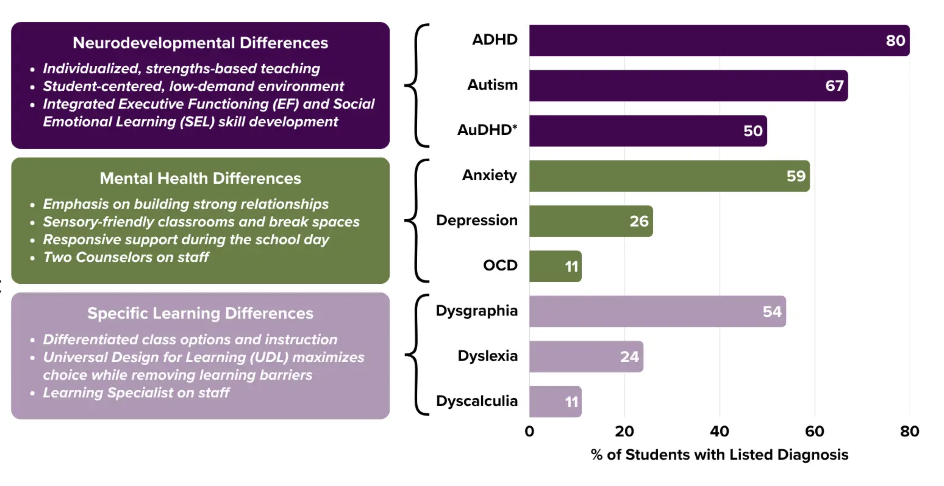 Infographic describing universal supports for students and prevalence of learning and mental health differences. Supports are grouped into three areas:
• Neurodevelopmental differences: individualized strengths-based teaching, low-demand environments, and integrated executive functioning and social-emotional learning.
• Mental health differences: relationship-focused support, sensory-friendly classrooms, responsive support during the school day, and two counselors on staff.
• Specific learning differences: differentiated instruction, universal design for learning, and a learning specialist.
A horizontal bar chart shows percentage of students with diagnoses: ADHD (80%), autism (67%), anxiety (59%), dysgraphia (54%), AuDHD (50%), depression (26%), dyslexia (24%), and OCD and dyscalculia (11% each).