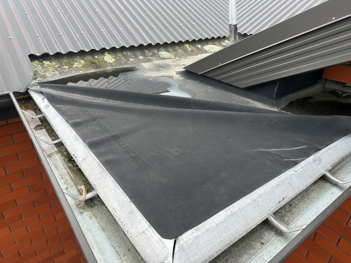 What is a Building Inspection and Why Does It Matter?