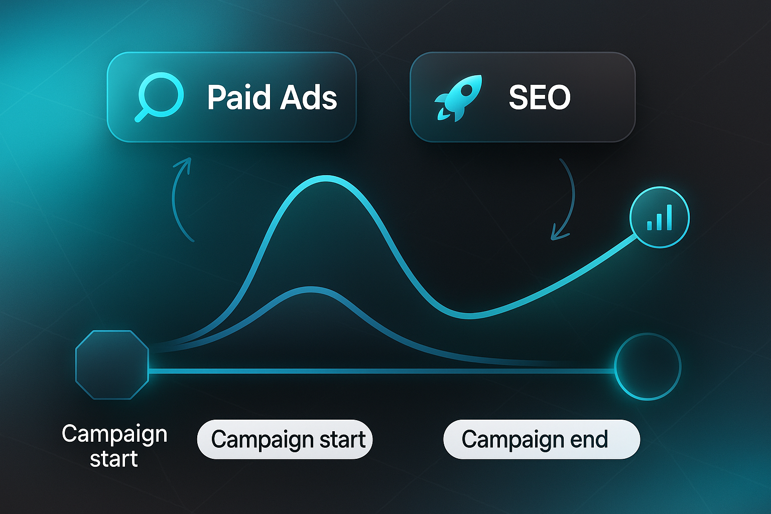 Infographic comparing Paid Ads and SEO performance curves for best SEO companies for small business campaigns.