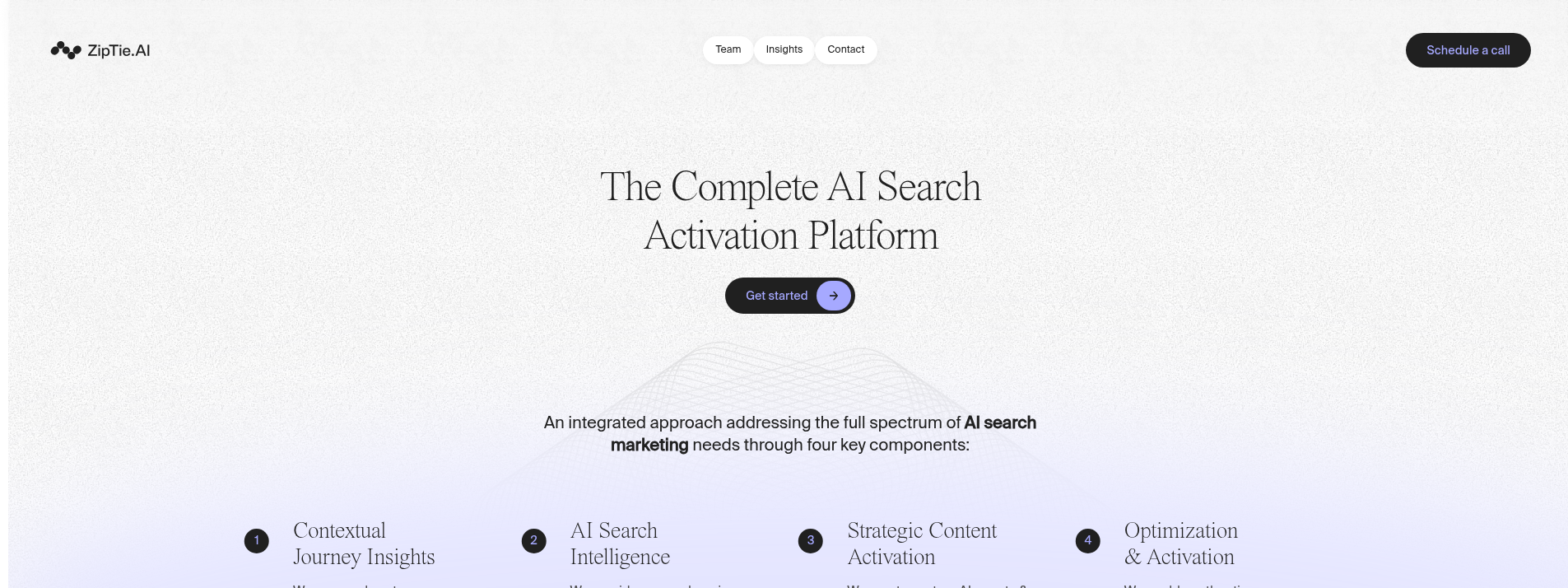 ZipTie homepage hero section displaying main information