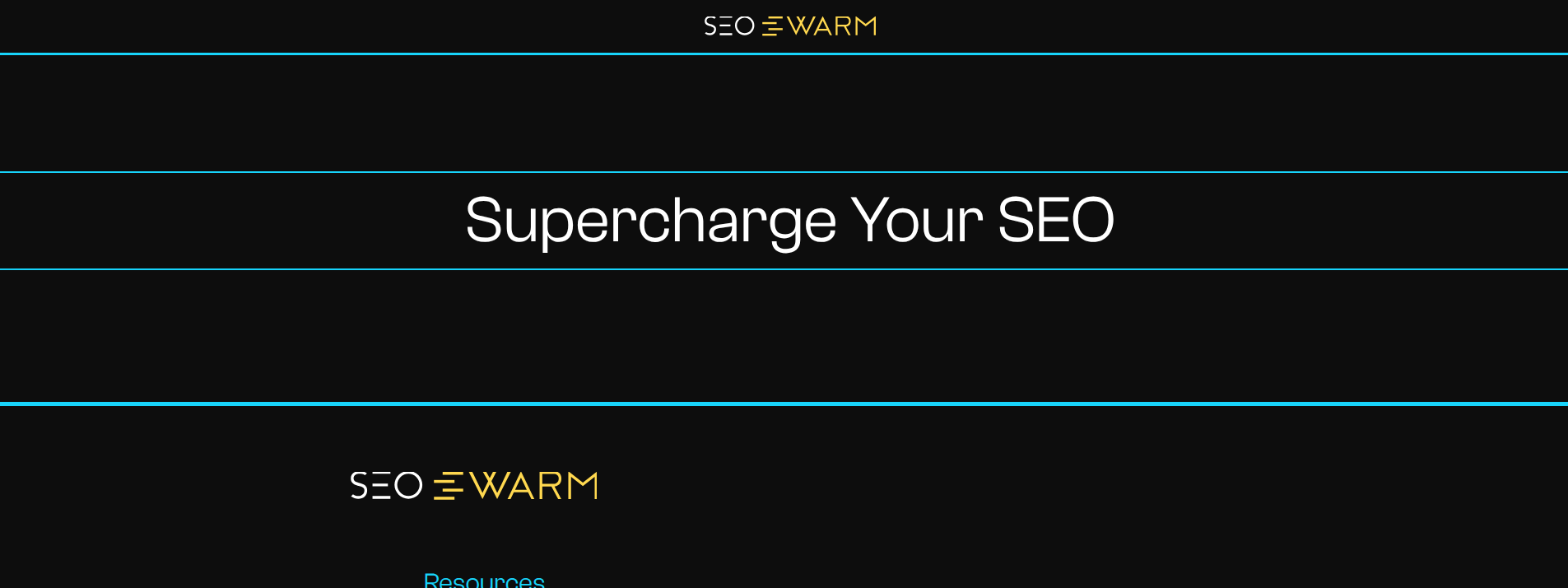 SEOSwarm homepage hero section displaying main information