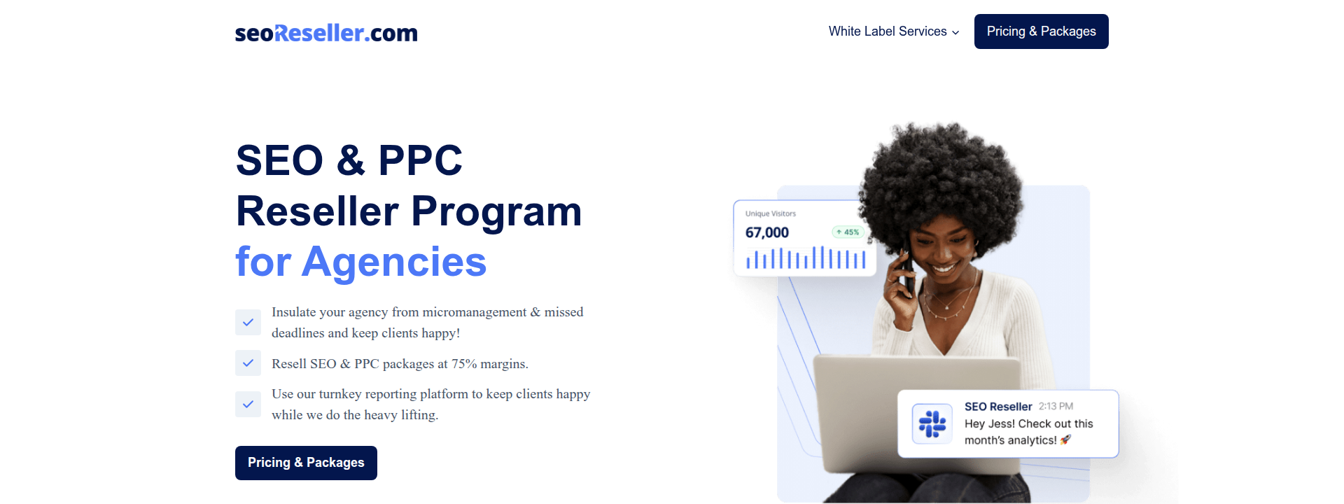 SEOReseller homepage hero section displaying main information