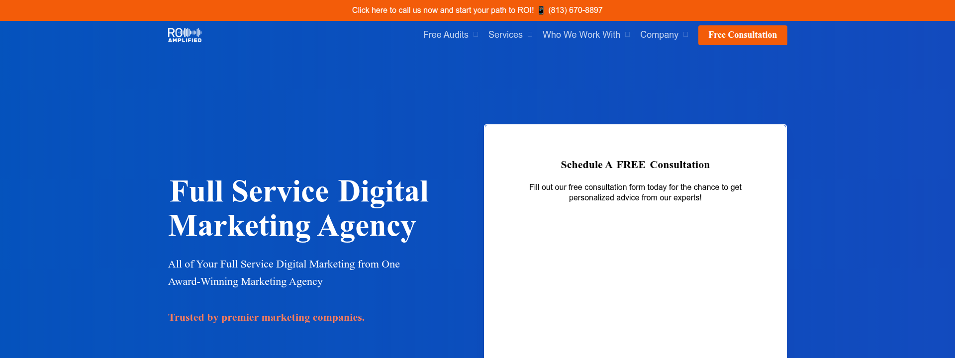 ROI Amplified homepage displaying hero section information