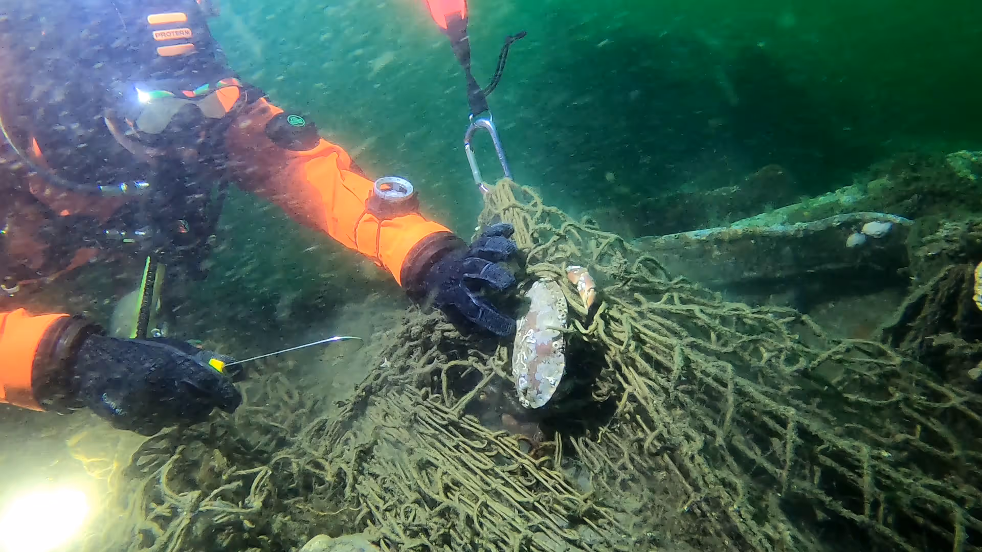 Ein Taucher birgt ein Geisternetz aus der Ostsee.