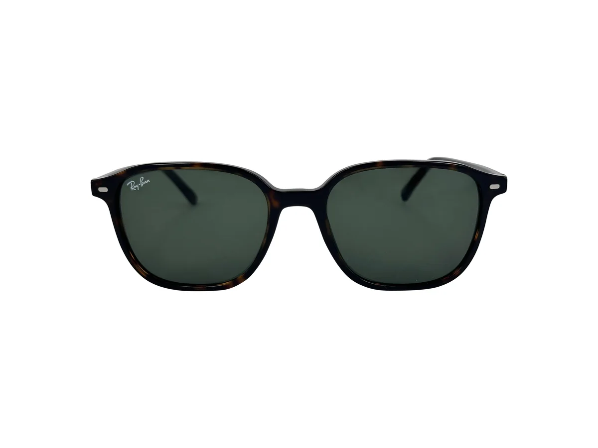 Ray Ban 2193 leonard , 901/31 (53/18 - 145)