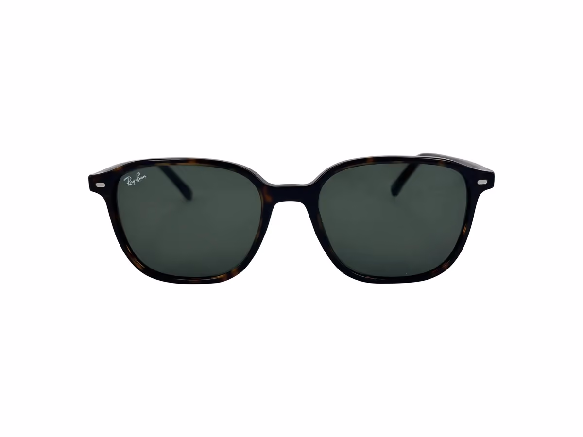 Ray Ban 2193 leonard , 901/31 (53/18 - 145)