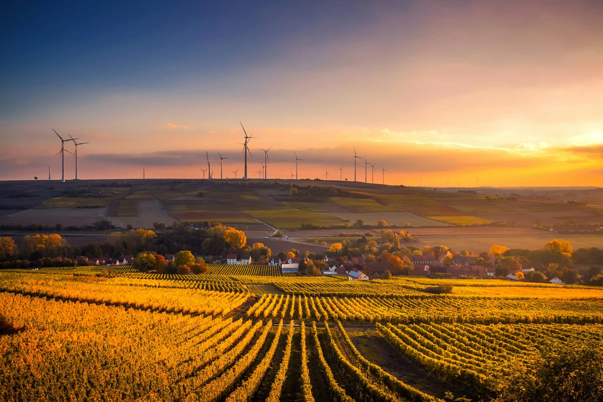 Landscape during golden hour with windmills in the background
