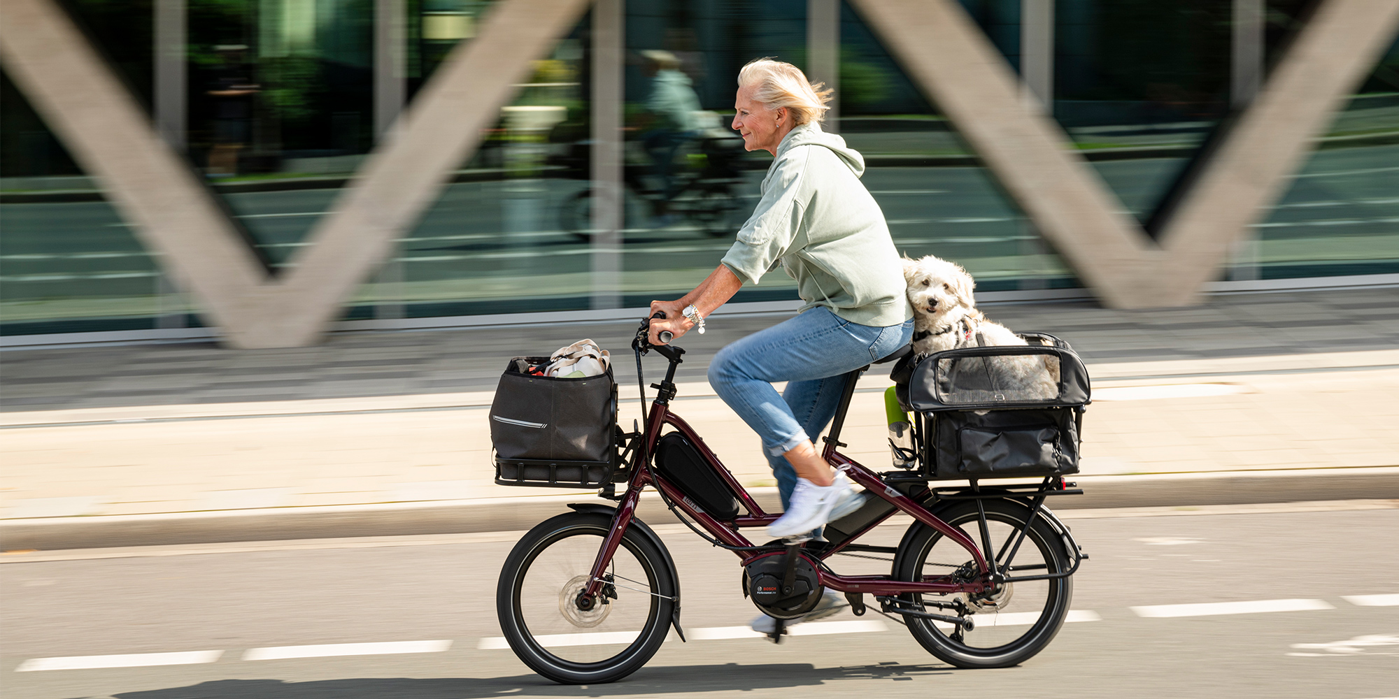 Woman riding an electric cargo bike with a dog sitting in the rear basket and a bag in the front basket on an urban street.