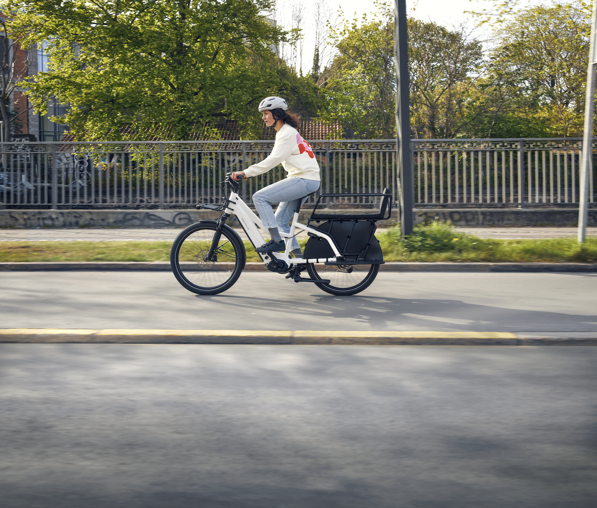 Riese and Muller Multicharger Mixte