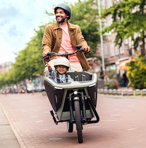 Urban Arrow Cargo L