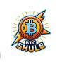 Análise da carteira Bitcoin