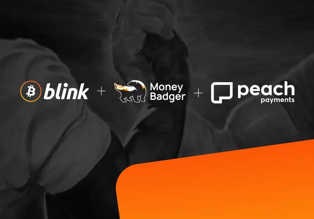 Blink Enhances Payment Access for Users with MoneyBadger and Peach Payments Integration