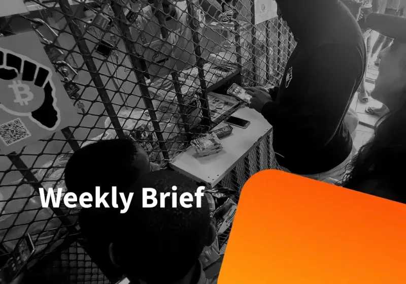 Weekly Brief 2025/49