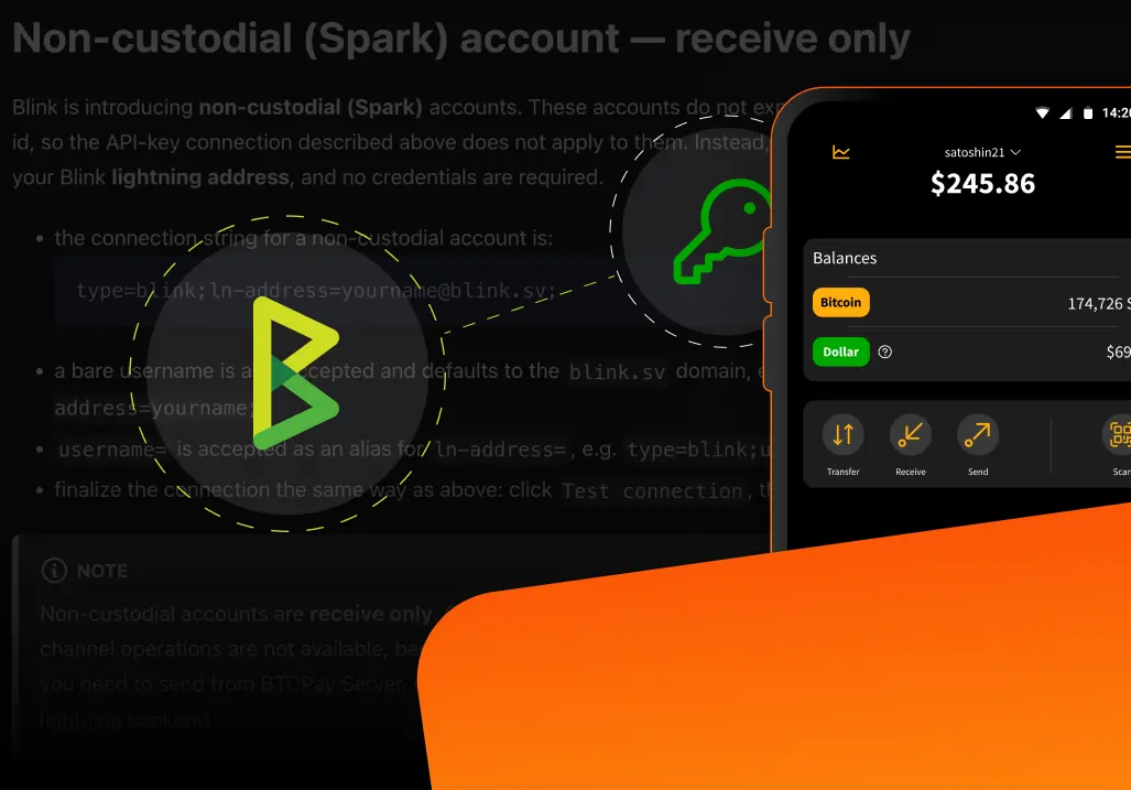 Blink's BTCPay Server Plugin Now Supports Non-Custodial Accounts: Here's How to Connect