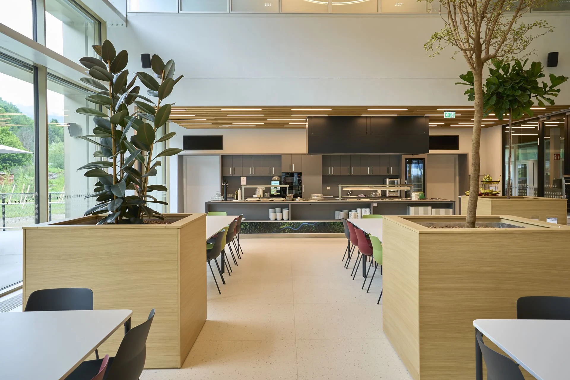 Kantinenbereich im Komptech Headquarter mit moderner Objekteinrichtung und integrierten Pflanzenelementen