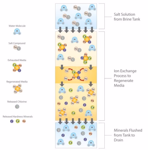 Softening Process - Regenerating Softener