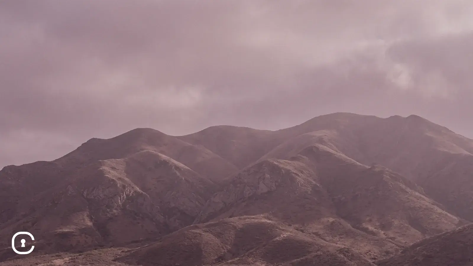 A Conversation With OpenClaw Experimenters