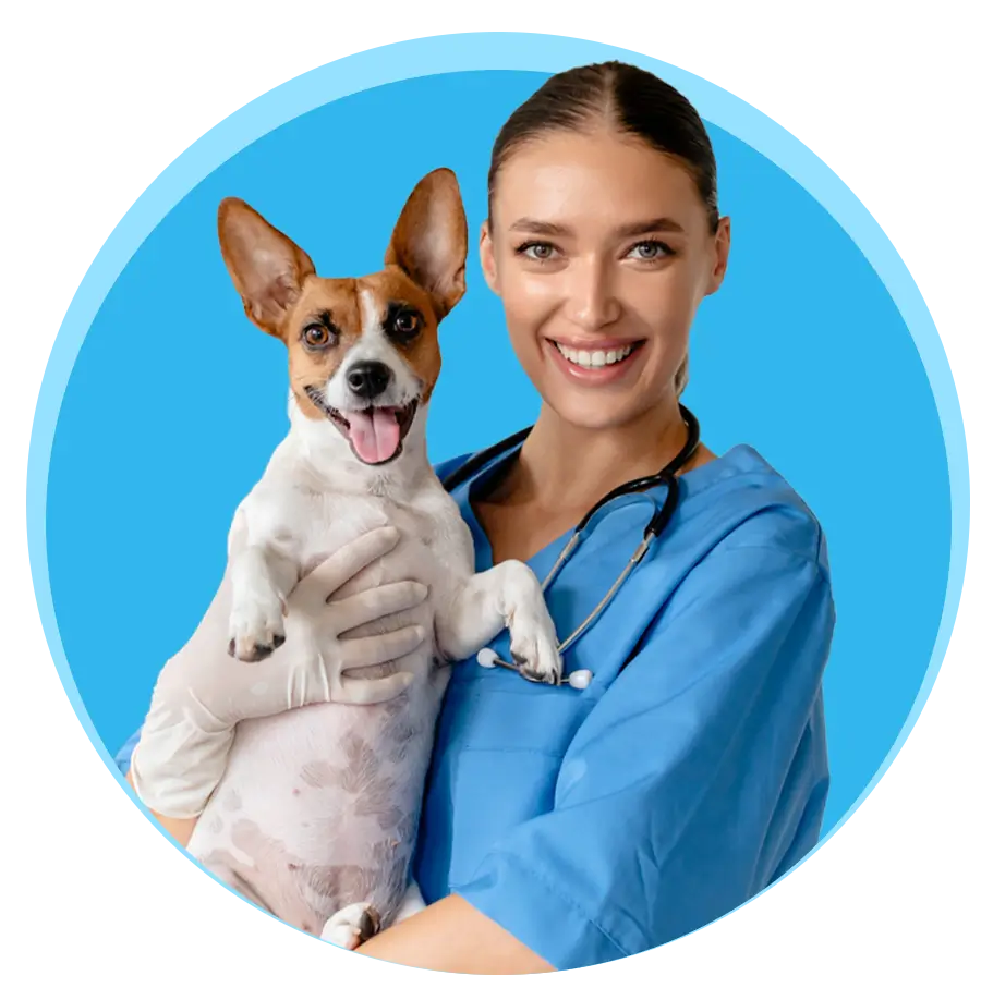 Veterinarian holding a dog.