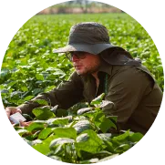 A man sitting in a crop field.