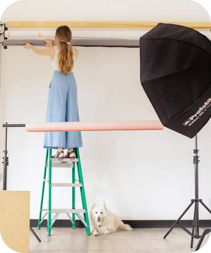 Woman standing on a ladder setting up a photo studio backdrop, while a white dog lies on the floor below, next to professional lighting equipment.