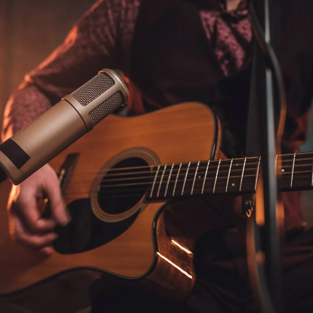 Monkey Junk at the John Saunders Centre