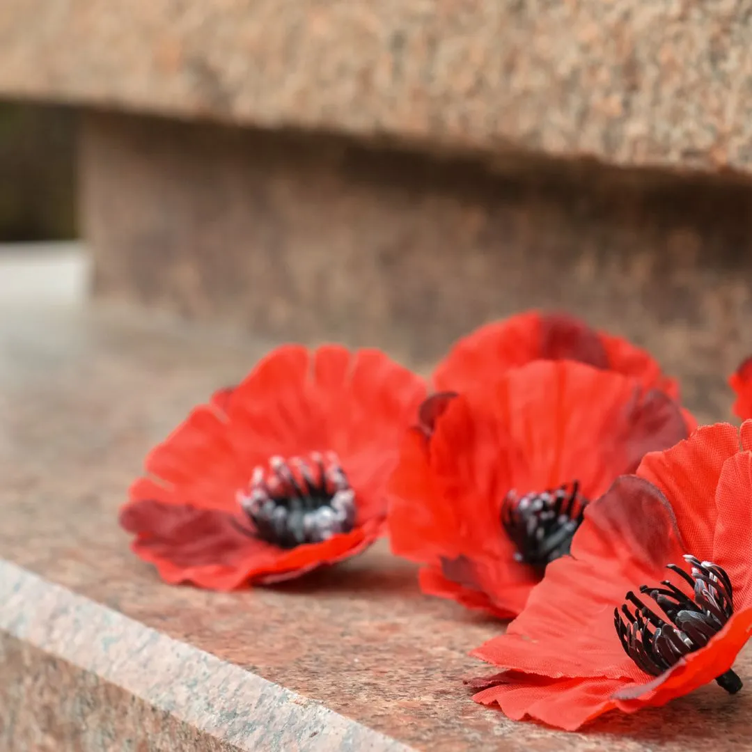 Remembrance Day Gathering