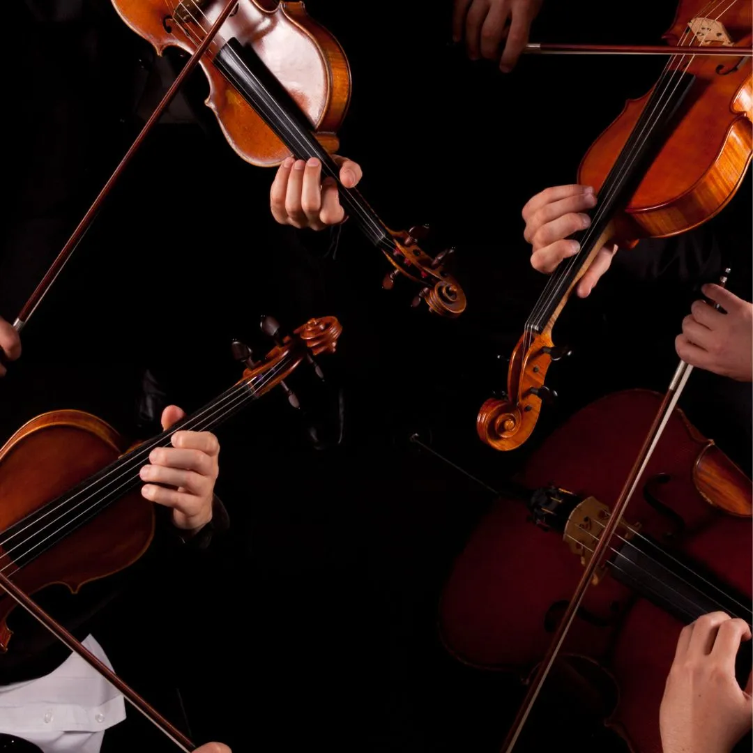 Shane Cook & The Woodchippers