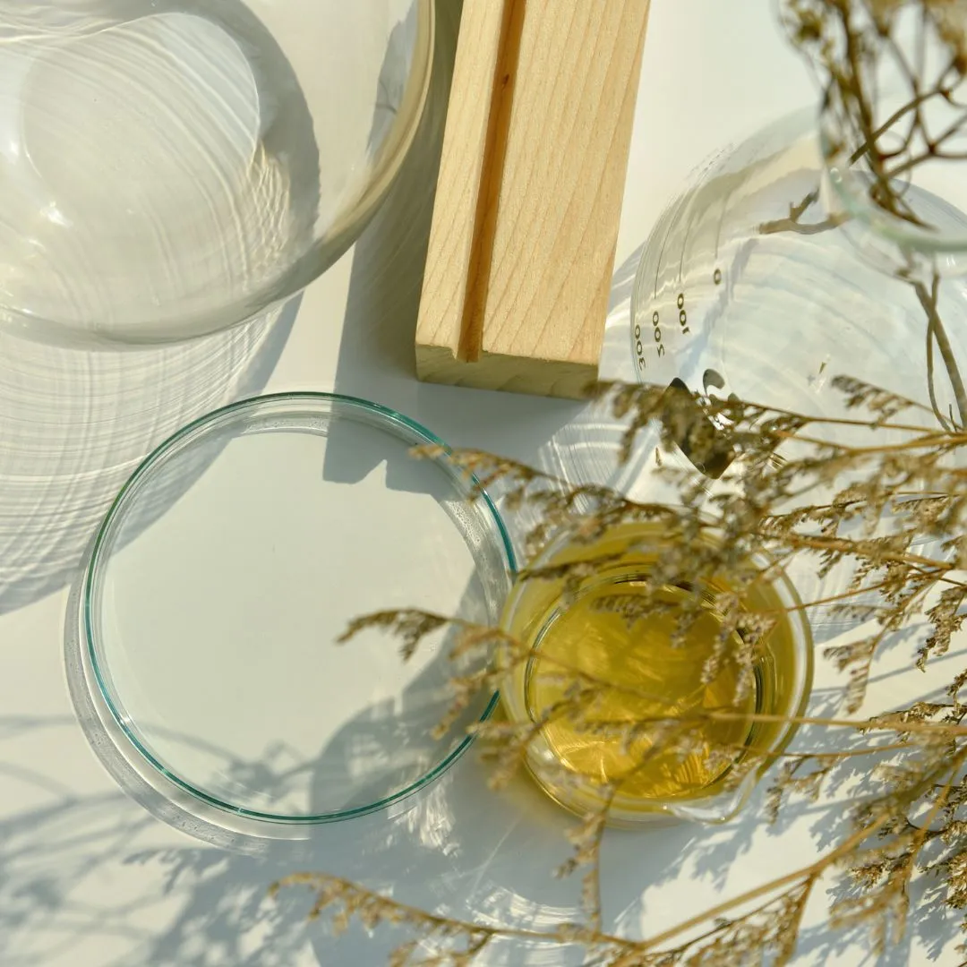 Collingwood Spring Holistic Healing Fair