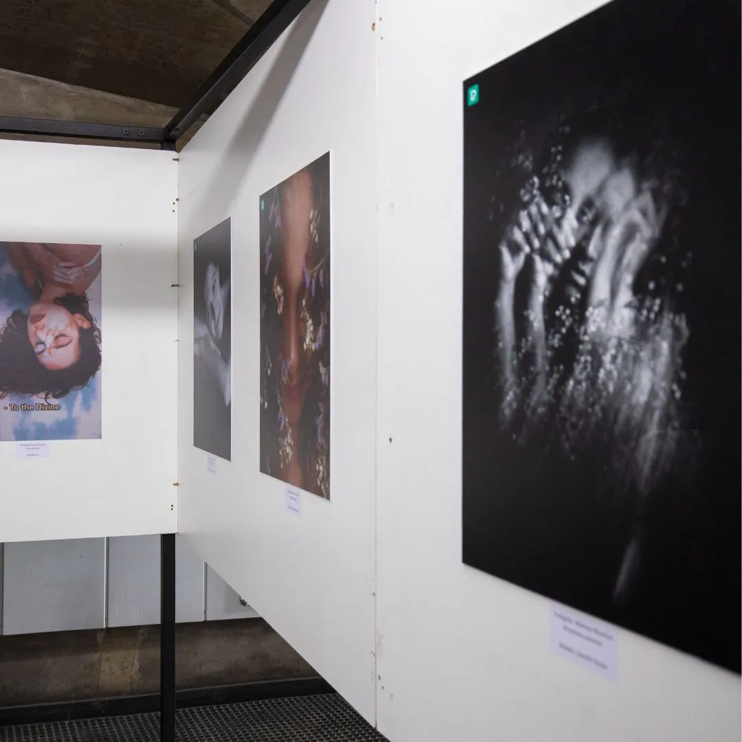 Moving Still: A Visual Experience Supporting the Collingwood G&M Hospital