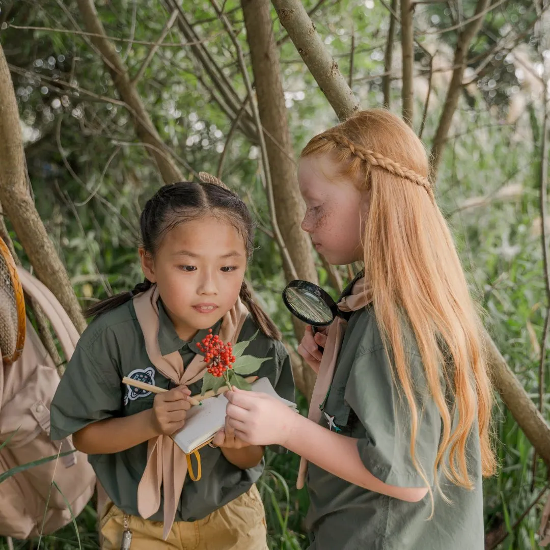 Metcalfe Rock Camp 2024