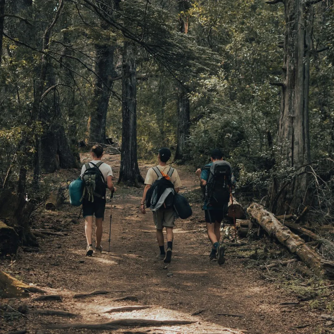 Niagara Escarpment Formation and Foraging