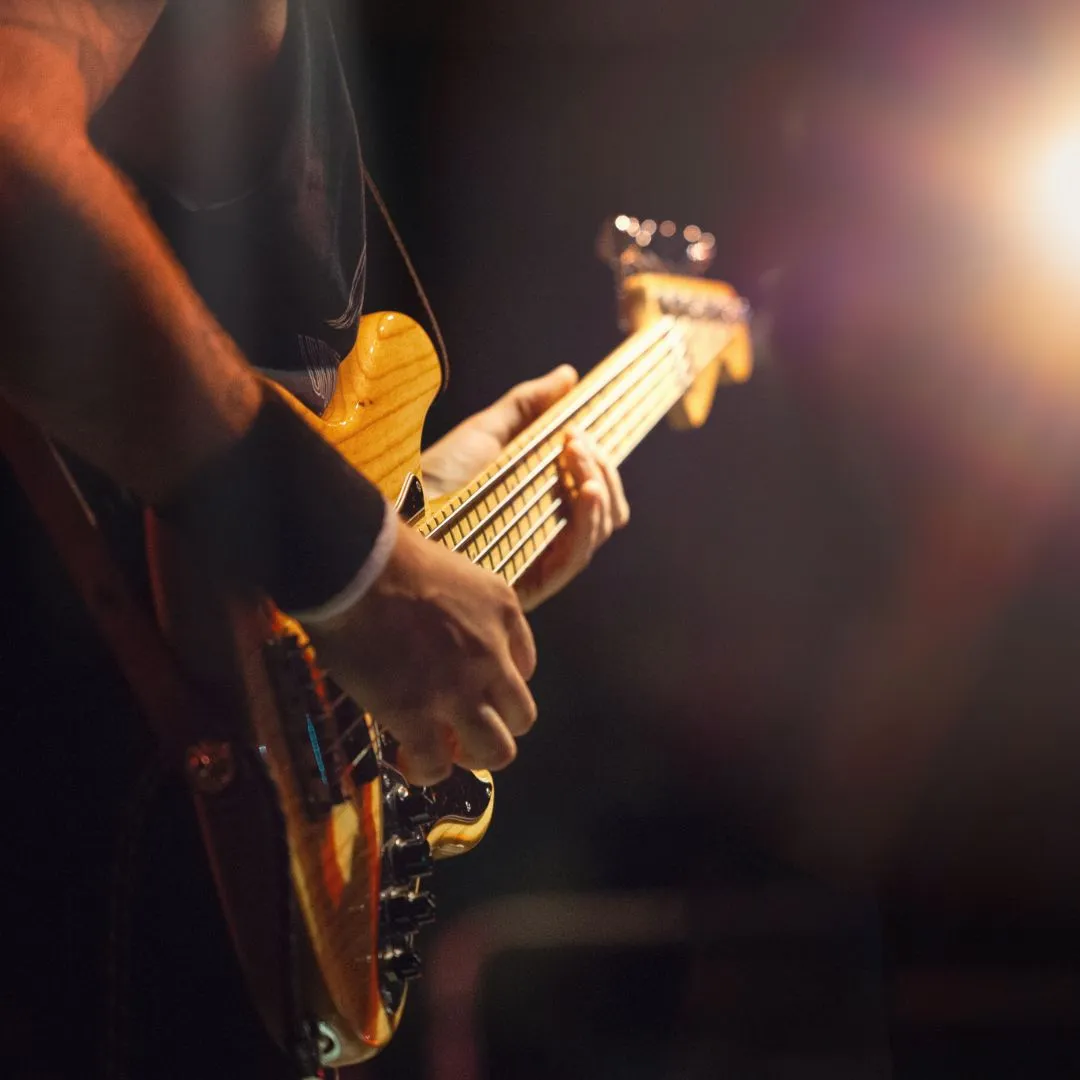 Alfie Zappacosta Live