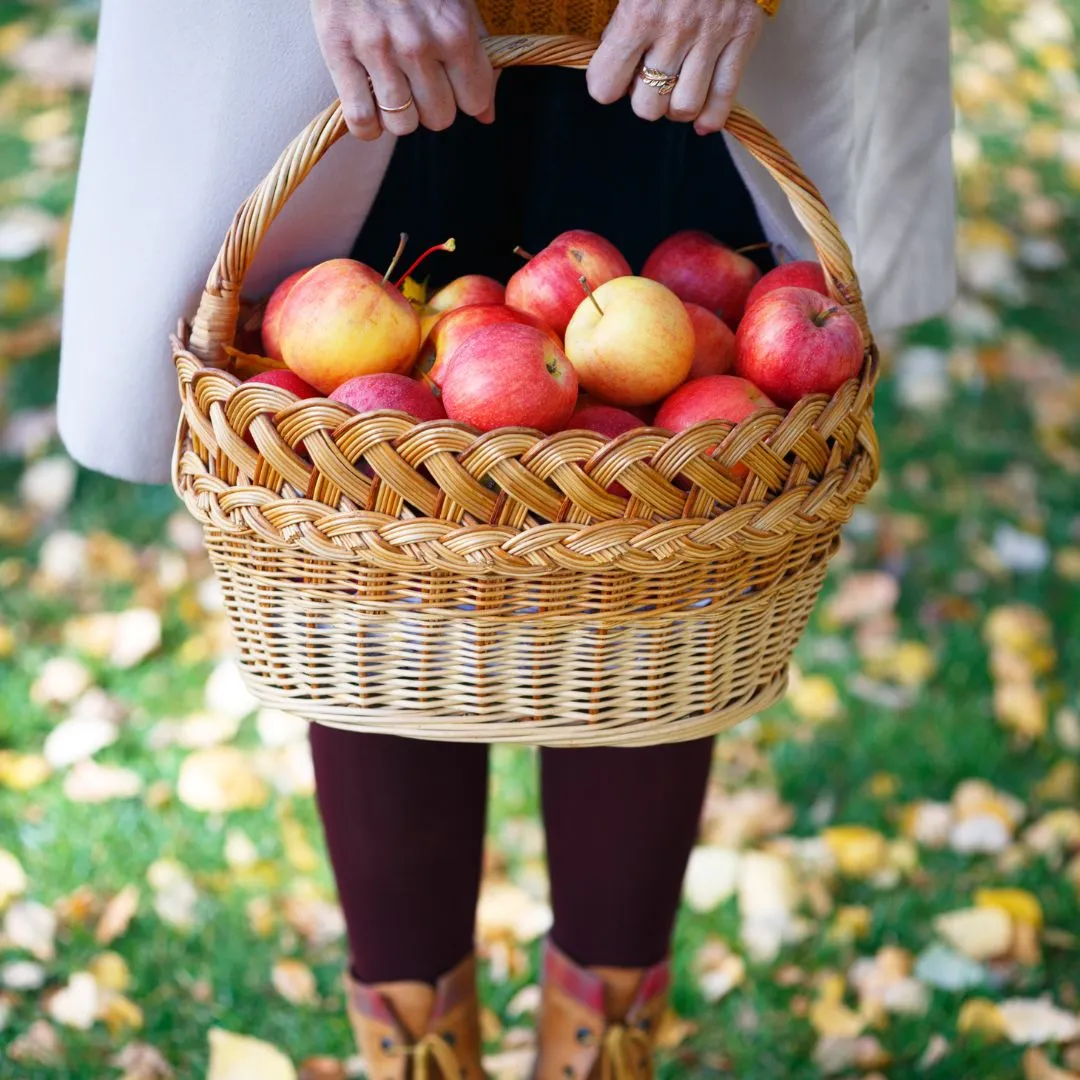 Apple Harvest Weekend