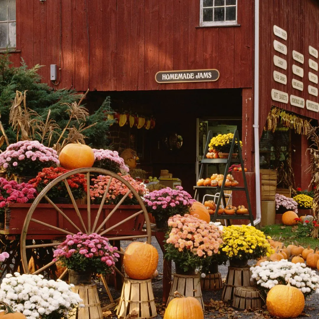 Thanksgiving Marketplace