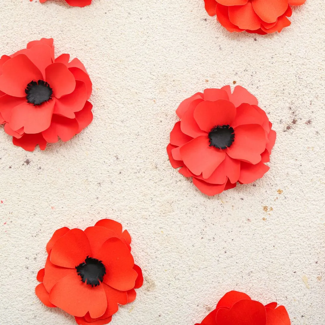 Remembrance Day Ceremony at Thornbury Cenotaph