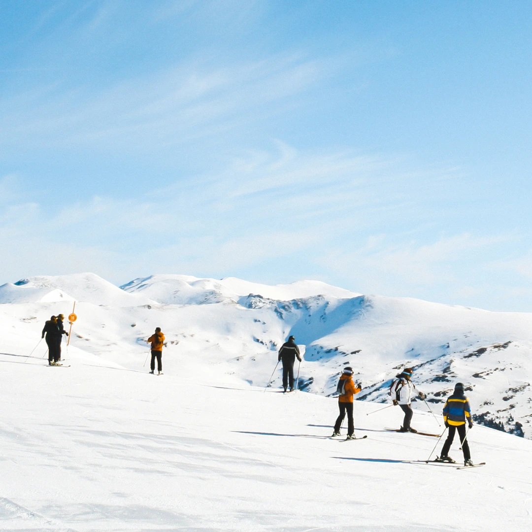 Pass Holder Season Demo Day 2025