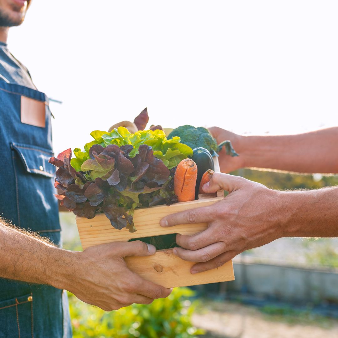 Wasaga Beach Farmers Market