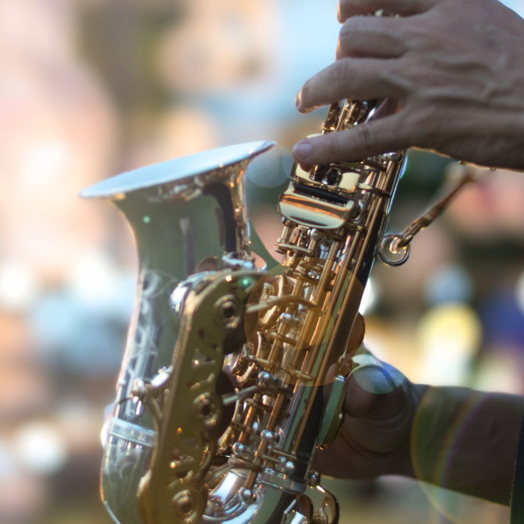 Music in the Park – The James Brown Trio