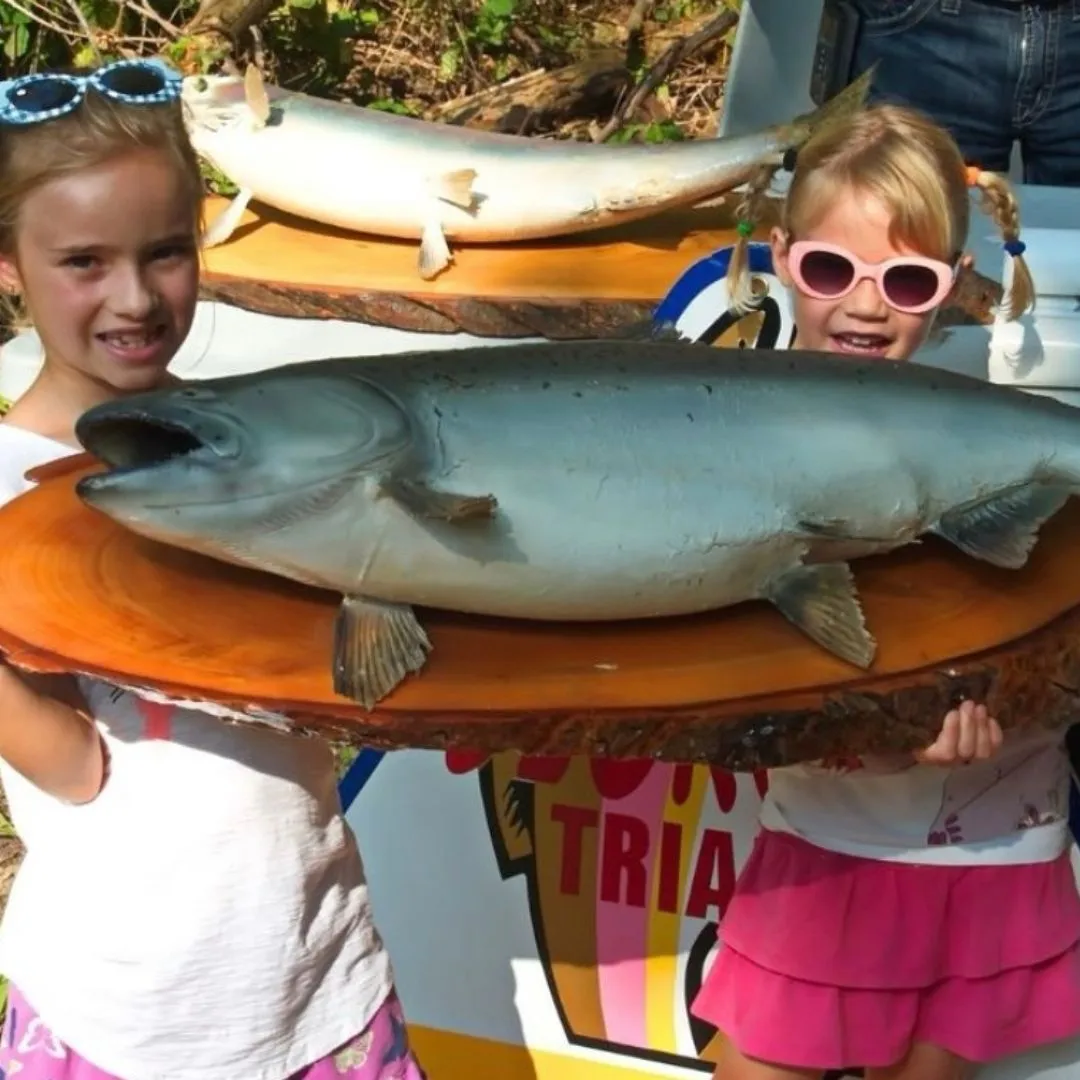 See the Salmon Run 2025