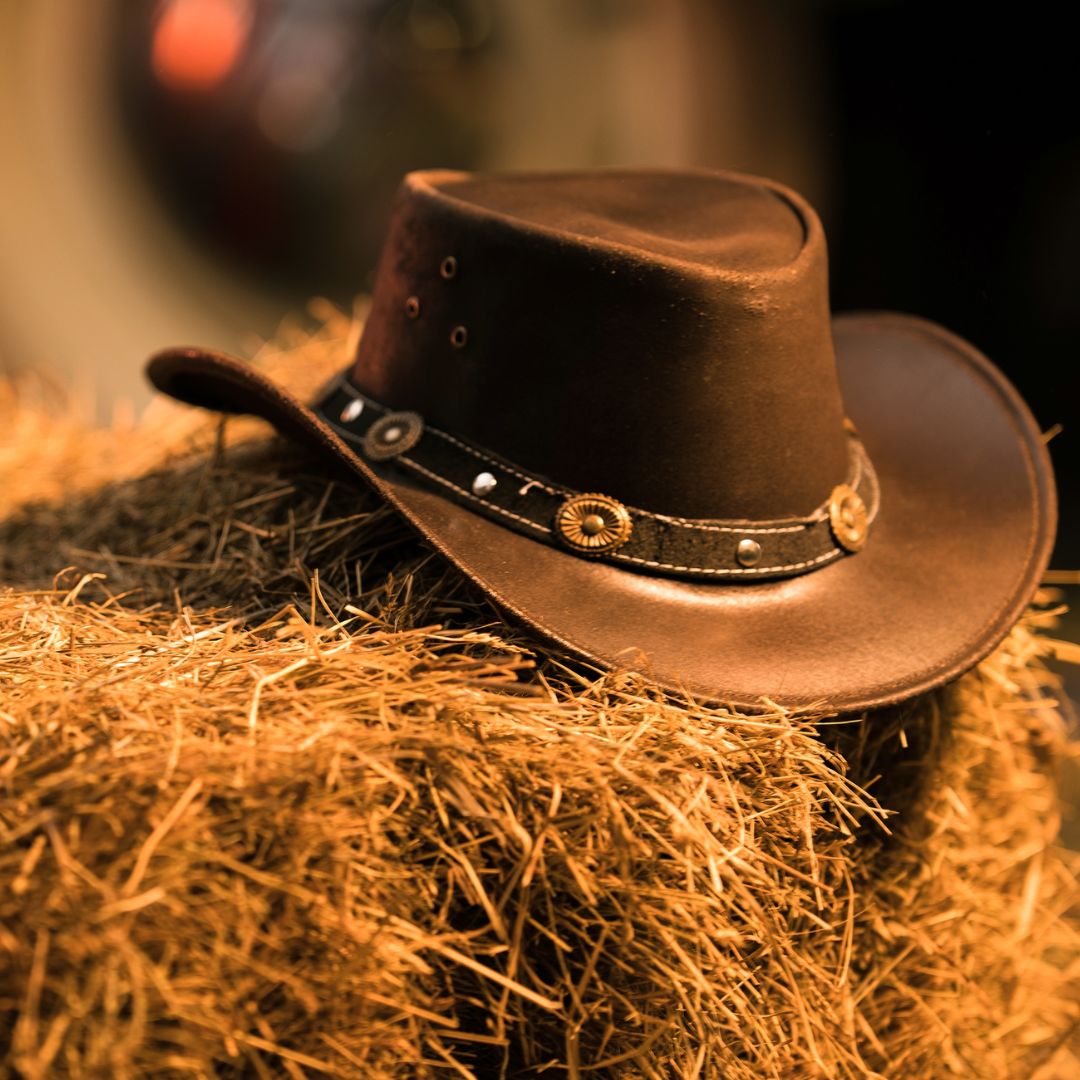 Summer Solstice Country Hoedown