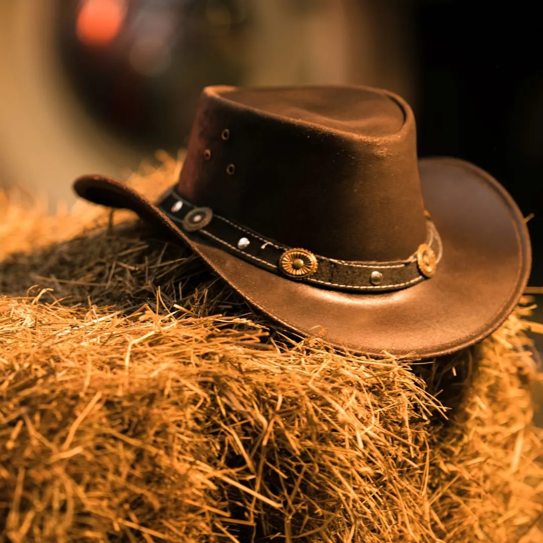 Summer Solstice Country Hoedown