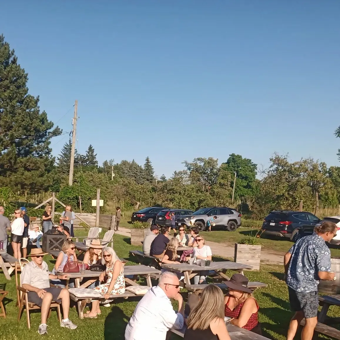 Grey & Gold Cider Company