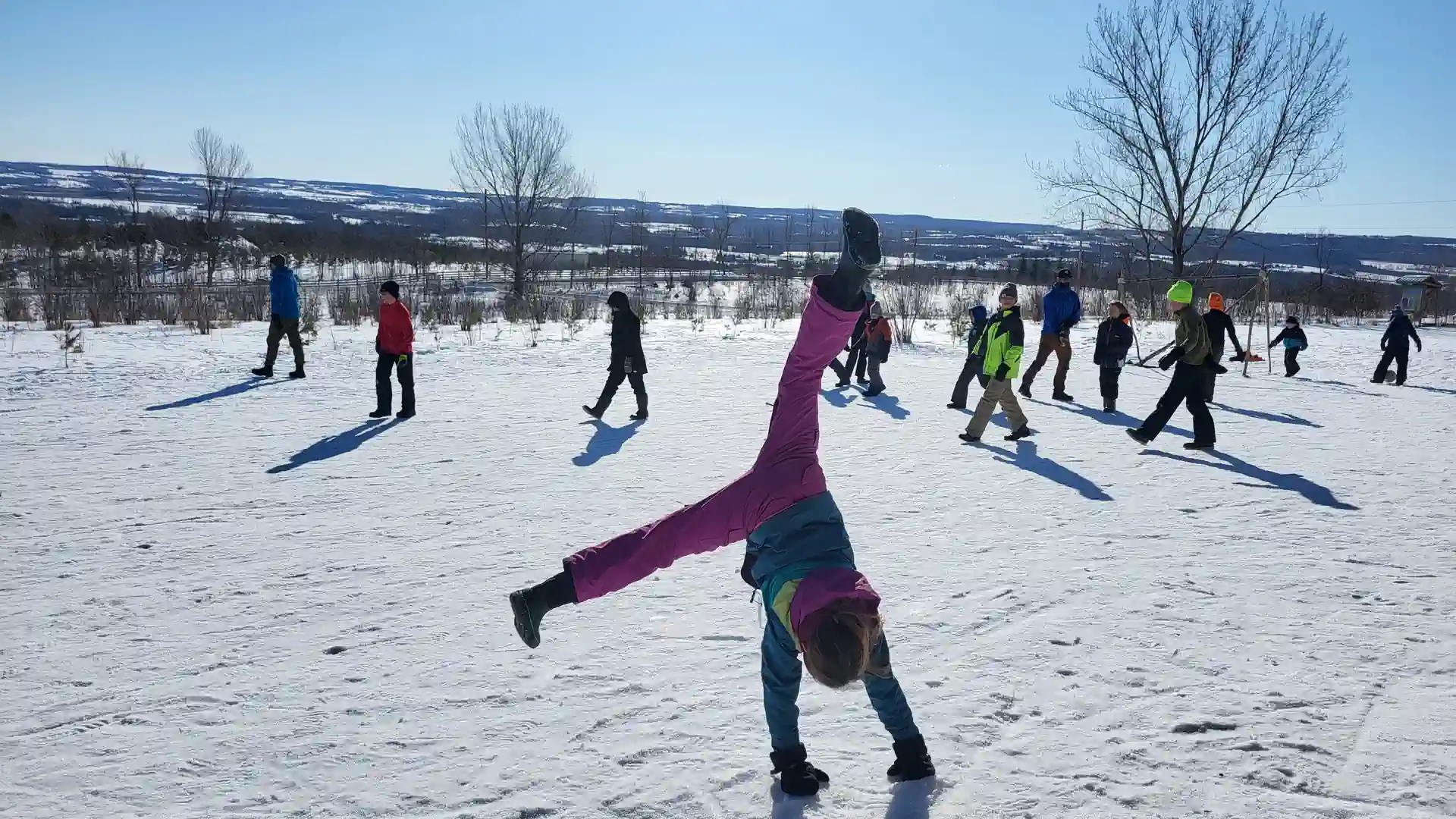 Cartwheel-in-Winter-Blue-Mountains-Wild-School.webp