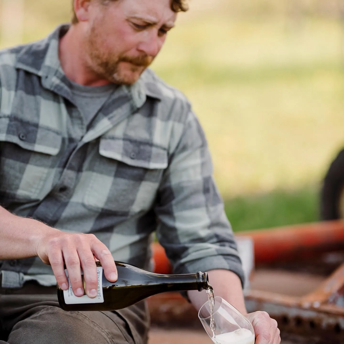 Windswept Orchard Cider