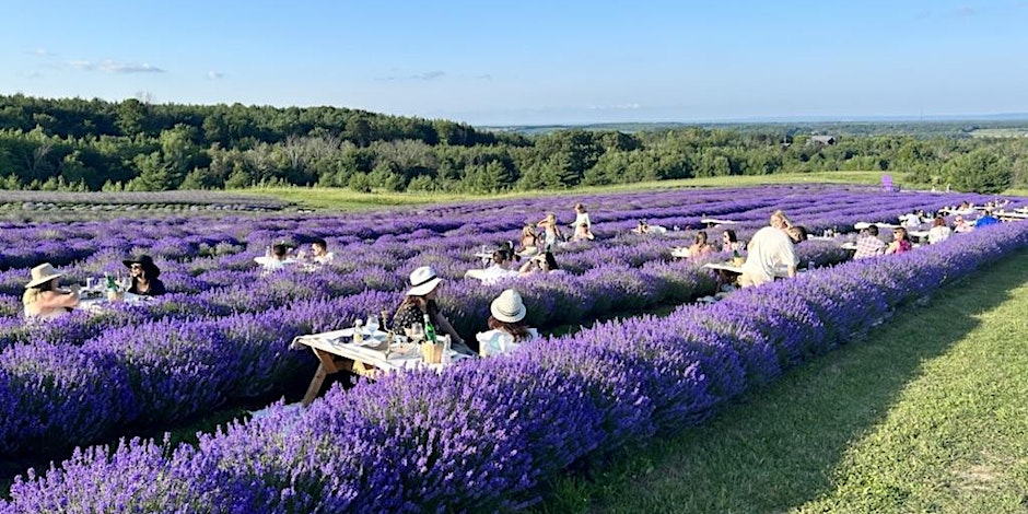 Outdoor Paint Experience at Purple Hill Lavender Farm