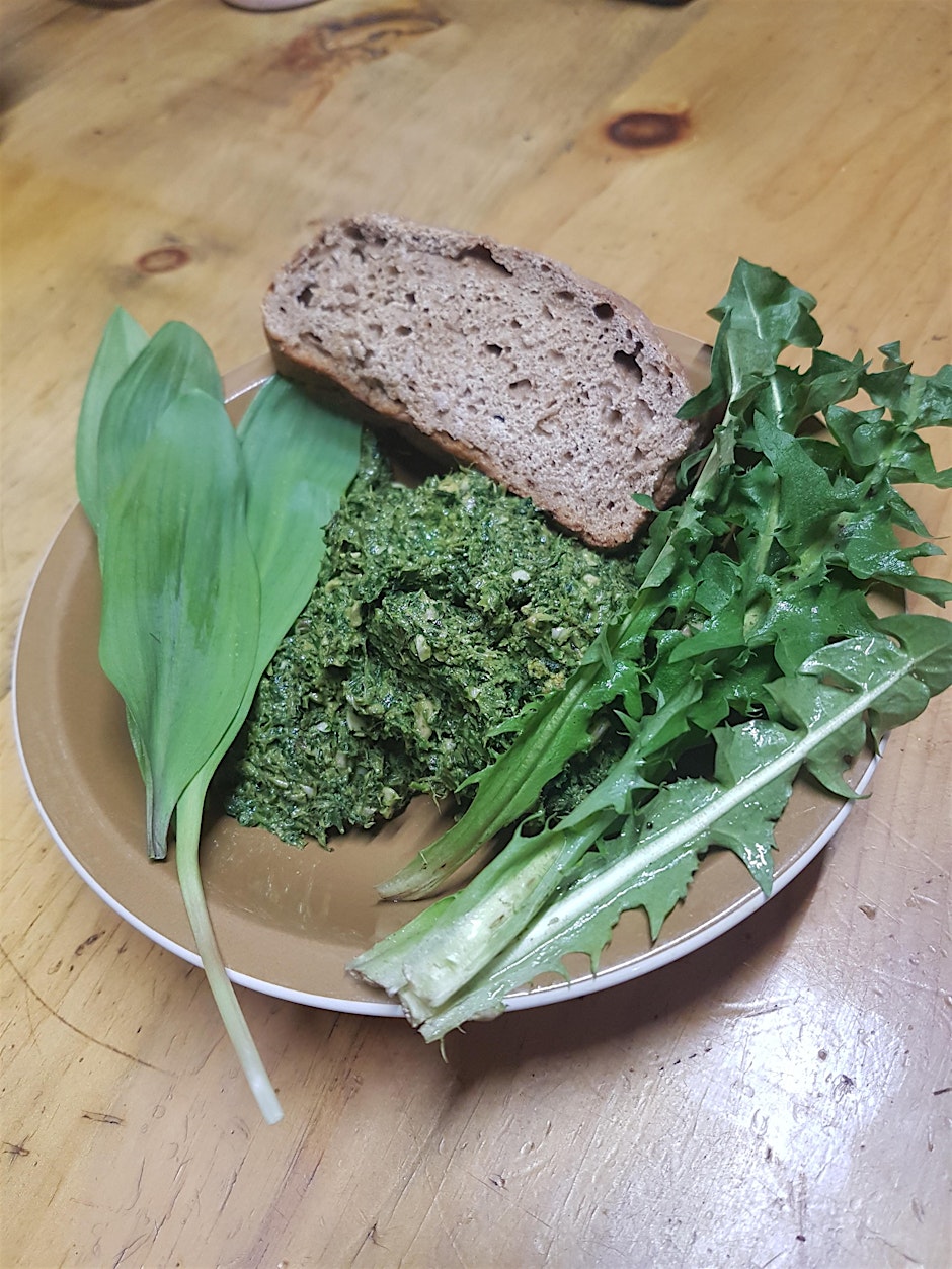 Forage, Feast & Ferment: A Wild Foods & Gut Health Experience