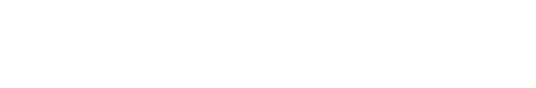 GEMI Pachuca | International