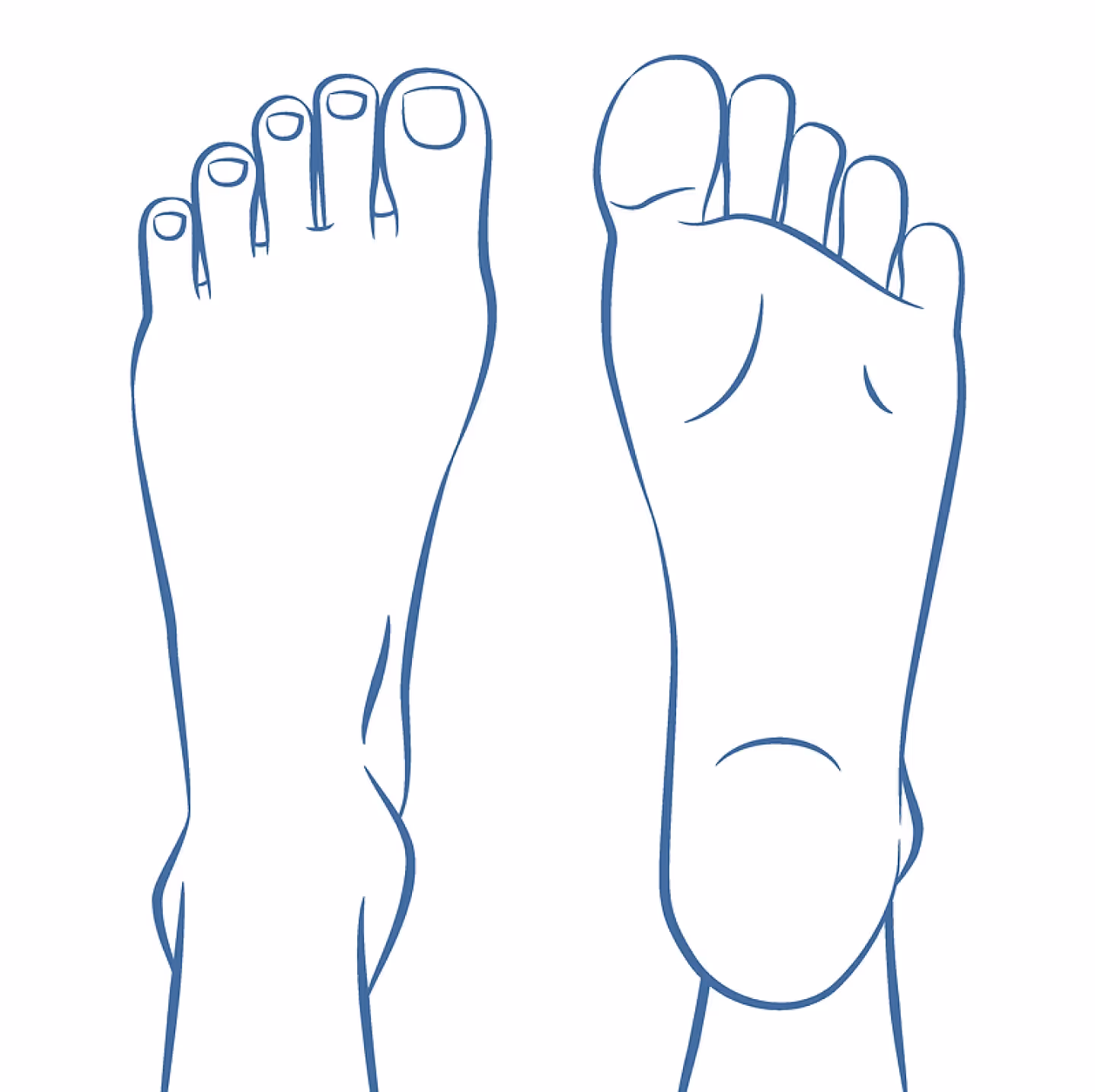 This image is representing a foot with its key points